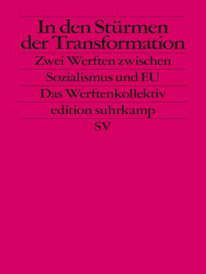 cover image of In den Stürmen der Transformation